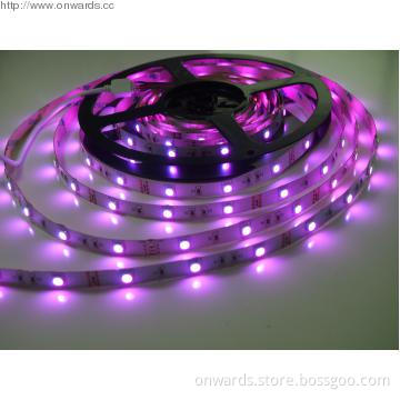 High quality Purple Rope Lighting
